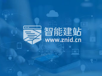 黑五类产品独立站推荐指南：小众赛道的掘金策略与平台避坑解析